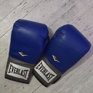 Everlast 16oz Boxing Gloves